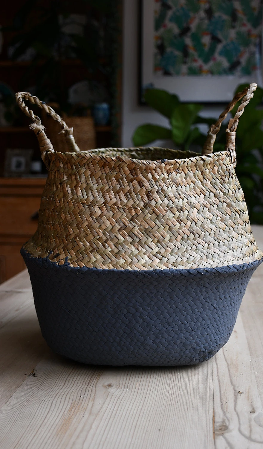 Ficus Umbellata (Extra Large Tree Form) 7 Ficus Umbellata (Extra Large Tree Form) - Image 7