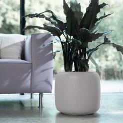 PURE BEADS POT 27cm -Verdant Haven Sales Store 98bb8d f4d82b180eb143c780ea3df3d56c4f4a mv2