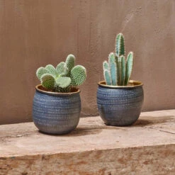 Tembesi Etched Planter - Antique Black & Brass Large -Verdant Haven Sales Store 98bb8d fff6ef6841004c16bce1abad0ebd4f47 mv2