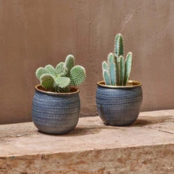 Tembesi Etched Planter - Black & Brass Medium -Verdant Haven Sales Store 98bb8d fff6ef6841004c16bce1abad0ebd4f47 mv2 84c046fb 3cbd 400b bd49 f91ce5acd02f