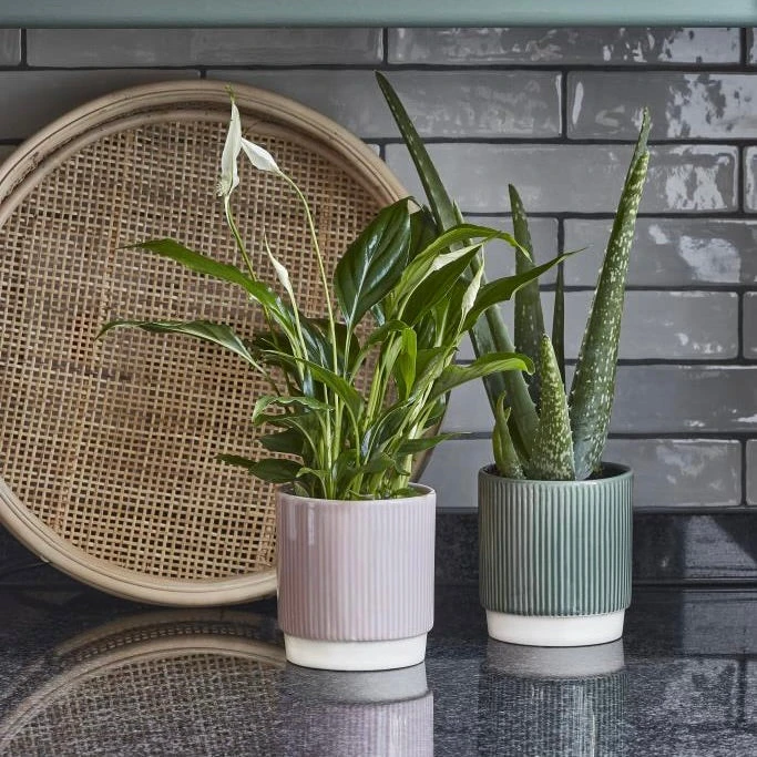 Athens Ceramic Reactive Glaze Indoor Ribbed Plant Pot Green (13cm Pot) 1 Athens Ceramic Reactive Glaze Indoor Ribbed Plant Pot Green (13cm Pot)