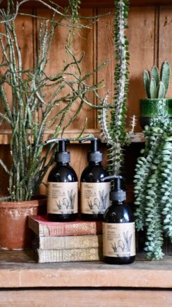 Vegan Cactus & Succulent Food 250ml (Fertiliser For Cacti) 5 Vegan Cactus & Succulent Food 250ml (Fertiliser For Cacti) -Verdant Haven Sales Store 9E125BF2 C102 4499 A9FE 81AAA955BD95 1 201 a