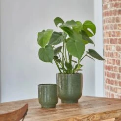 Designer Plant Pot | Forest Green Reactive Glaze Planter| 18cm Plant Pot -Verdant Haven Sales Store 9 f42958c8 285f 49a5 8434 1a9228cf708a jpg