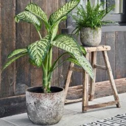 Albero Planter (28cm Pot)