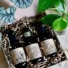 Liquid Vegan Plant Food, Organic Tropical Dew Spray And Cactus Fertiliser Gift Set