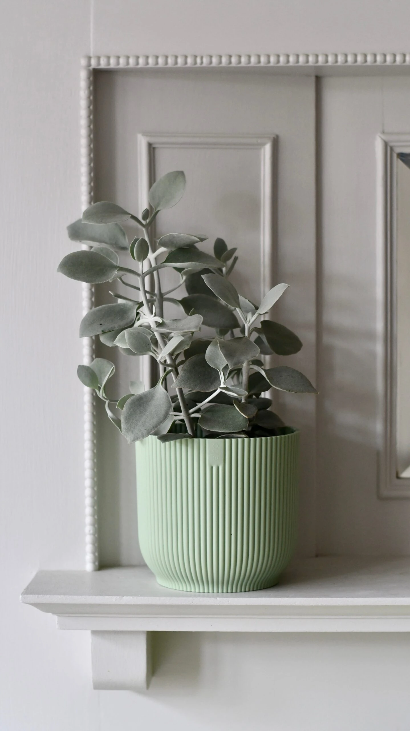 Vibes Fold Round 16cm Sorbet Green 2 Vibes Fold Round 16cm Sorbet Green - Image 2