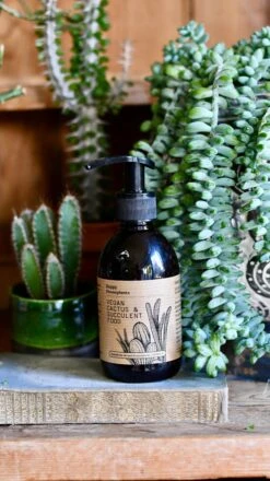 Vegan Cactus & Succulent Food Gift Box -Verdant Haven Sales Store D8355092 6861 415B 9B5F 33BB5CF43D5E 1 201 a 9c5a7ce4 299e 4002 9e2f 1b21641cb97f