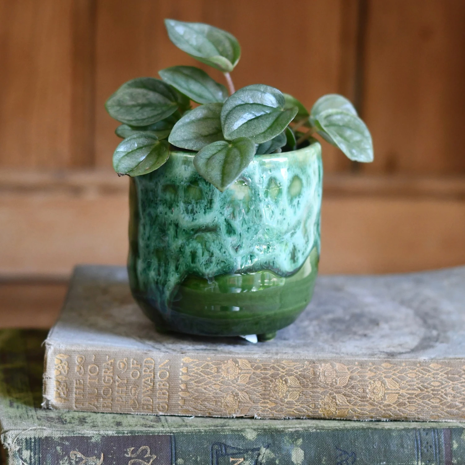 Pisa Emerald Planter | 7cm Pots | Baby Plant Pots | Ceramic Plot 1 Pisa Emerald Planter | 7cm Pots | Baby Plant Pots | Ceramic Plot