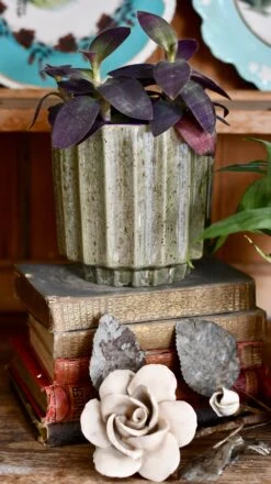 Lugano Scalloped Green Reactive Planter (13cm Plant Pot) -Verdant Haven Sales Store DSC 0222