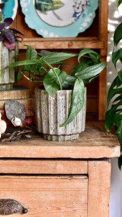 Lugano Scalloped Green Reactive Planter (13cm Plant Pot) -Verdant Haven Sales Store DSC 0225