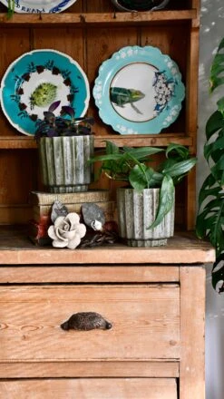 Lugano Scalloped Green Reactive Planter (13cm Plant Pot) -Verdant Haven Sales Store DSC 0233