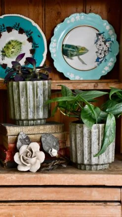 Lugano Scalloped Green Reactive Planter (13cm Plant Pot) -Verdant Haven Sales Store DSC 0235