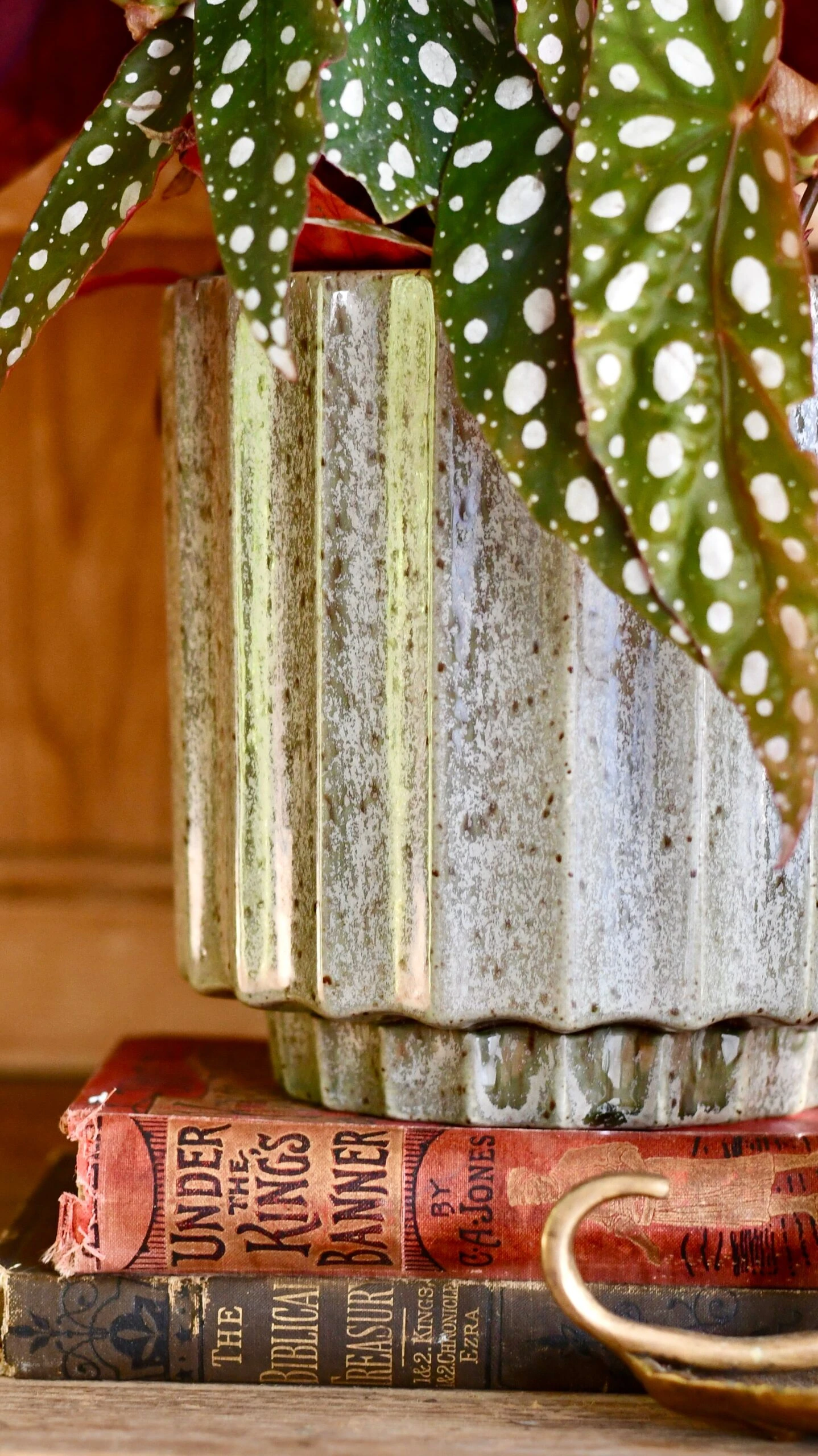 Lugano Scalloped Green Reactive Planter (16cm Plant Pot) 3 Lugano Scalloped Green Reactive Planter (16cm Plant Pot) - Image 3