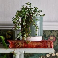 Athens Ceramic Reactive Glaze Indoor Ribbed Plant Pot Green (10.5cm Pot)