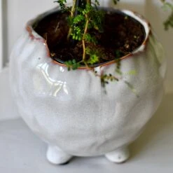 Japandi Ceramic Glaze Indoor Plant Pot (10cm Pot) -Verdant Haven Sales Store DSC 1669