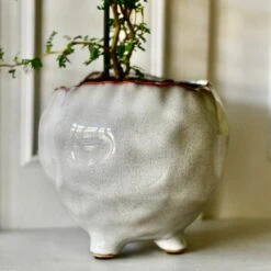 Japandi Ceramic Glaze Indoor Plant Pot (10cm Pot) -Verdant Haven Sales Store DSC 1671