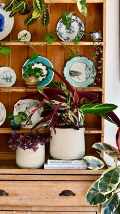 Oat Stoneware Handle Planter (21cm Pot) -Verdant Haven Sales Store DSC 1705