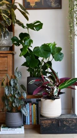 Slate Grey Stoneware Handle Planter (21cm Pot) -Verdant Haven Sales Store DSC 1753