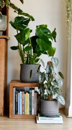 Slate Grey Stoneware Handle Planter (17cm) -Verdant Haven Sales Store DSC 1755