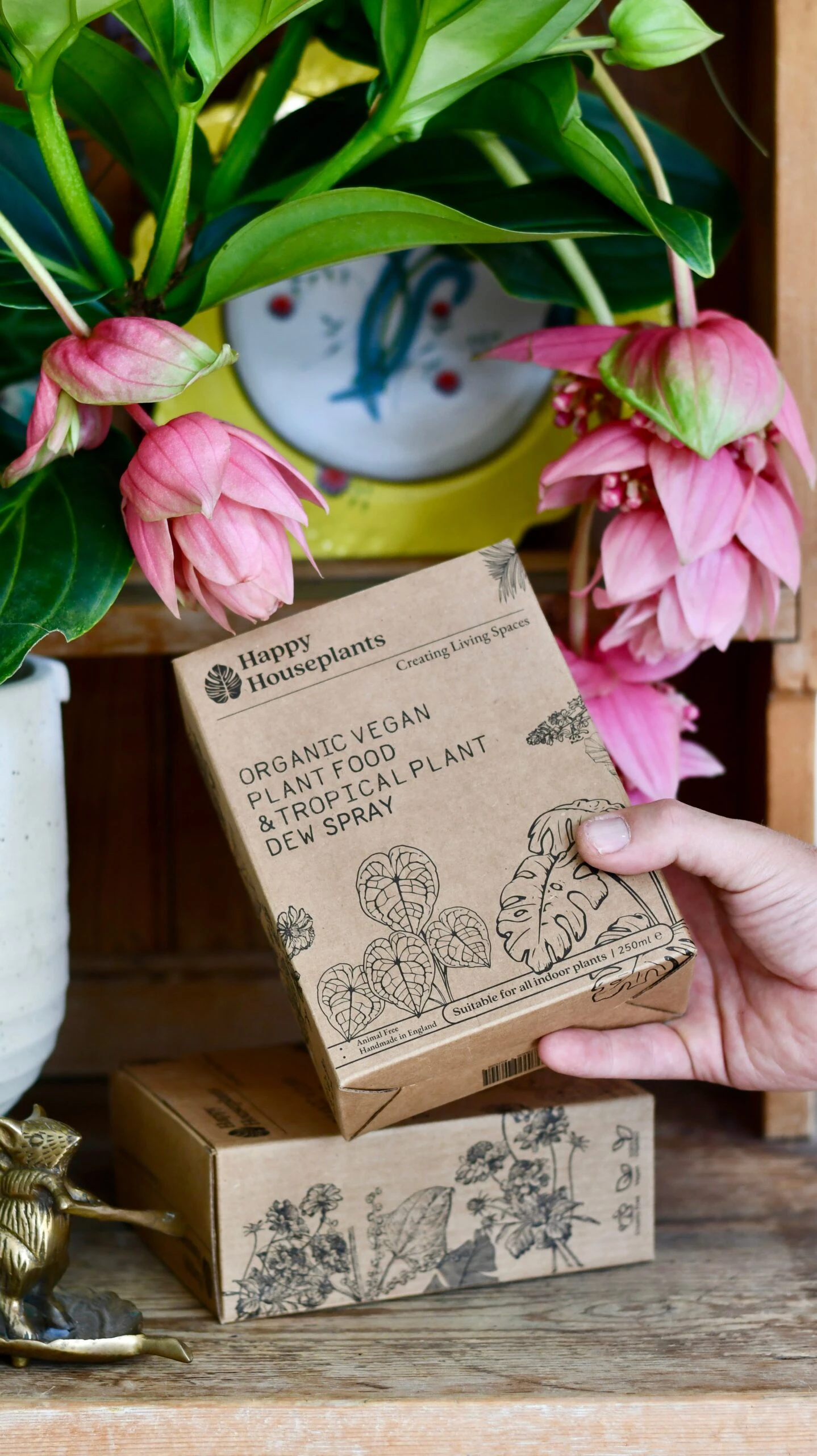 Plant Food & Tropical Dew Spray Gift Set 2 Plant Food & Tropical Dew Spray Gift Set - Image 2