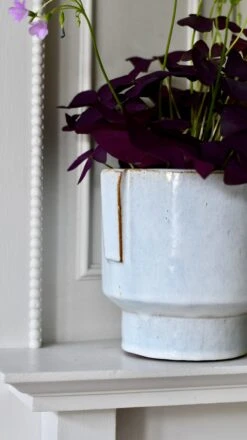 Aries Premium Glaze Handle Planter (14cm Indoor Plant Pot) -Verdant Haven Sales Store DSC 2242 909dd174 d461 404b 8bc0 911b4cabce14