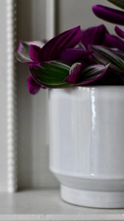 Pebble Premium Glaze Planter (14cm Indoor Plant Pot) -Verdant Haven Sales Store DSC 2335