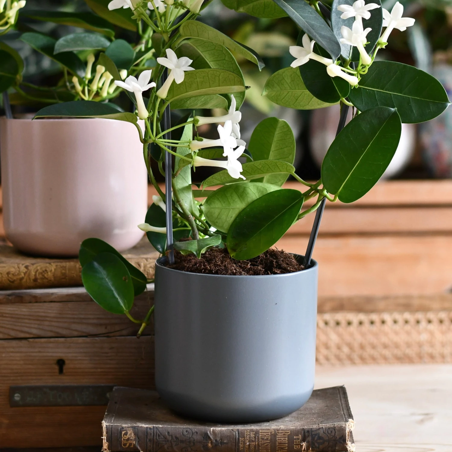 Lisbon Designer Planter Charcoal 18cm 2 Lisbon Designer Planter Charcoal 18cm - Image 2