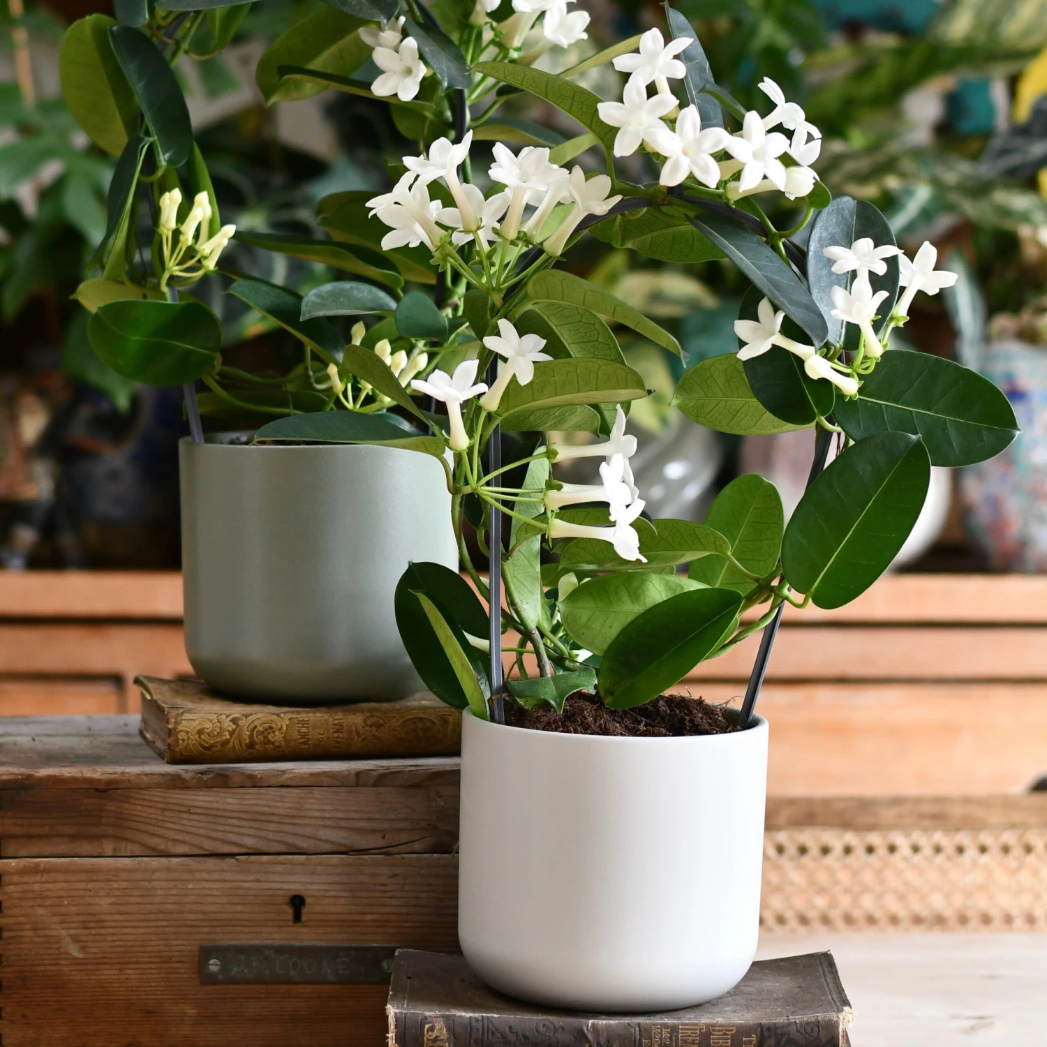 Lisbon Designer Planter Light Grey 13cm 1 Lisbon Designer Planter Light Grey 13cm