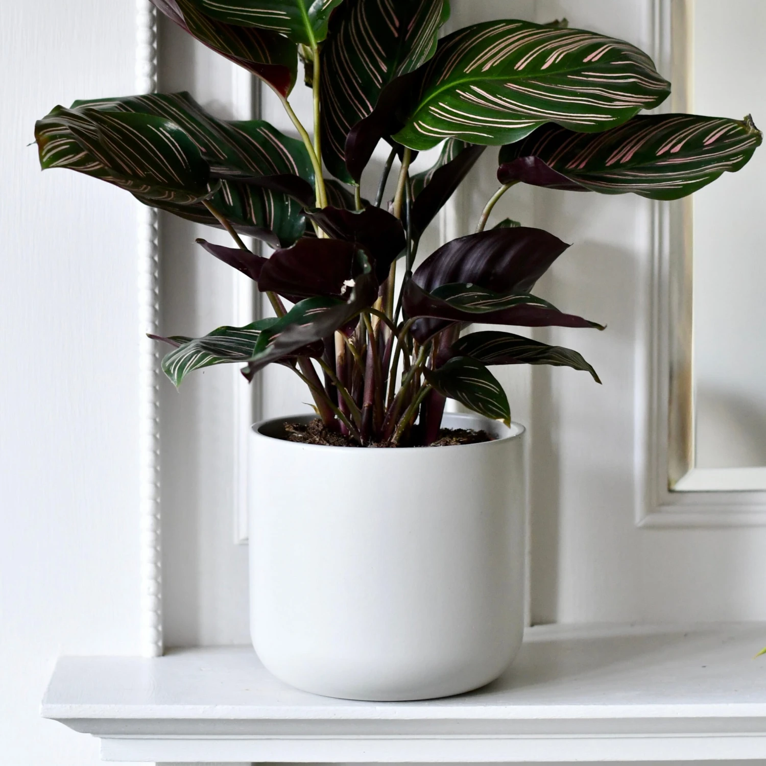 Lisbon Designer Planter Light Grey 13cm 4 Lisbon Designer Planter Light Grey 13cm - Image 4