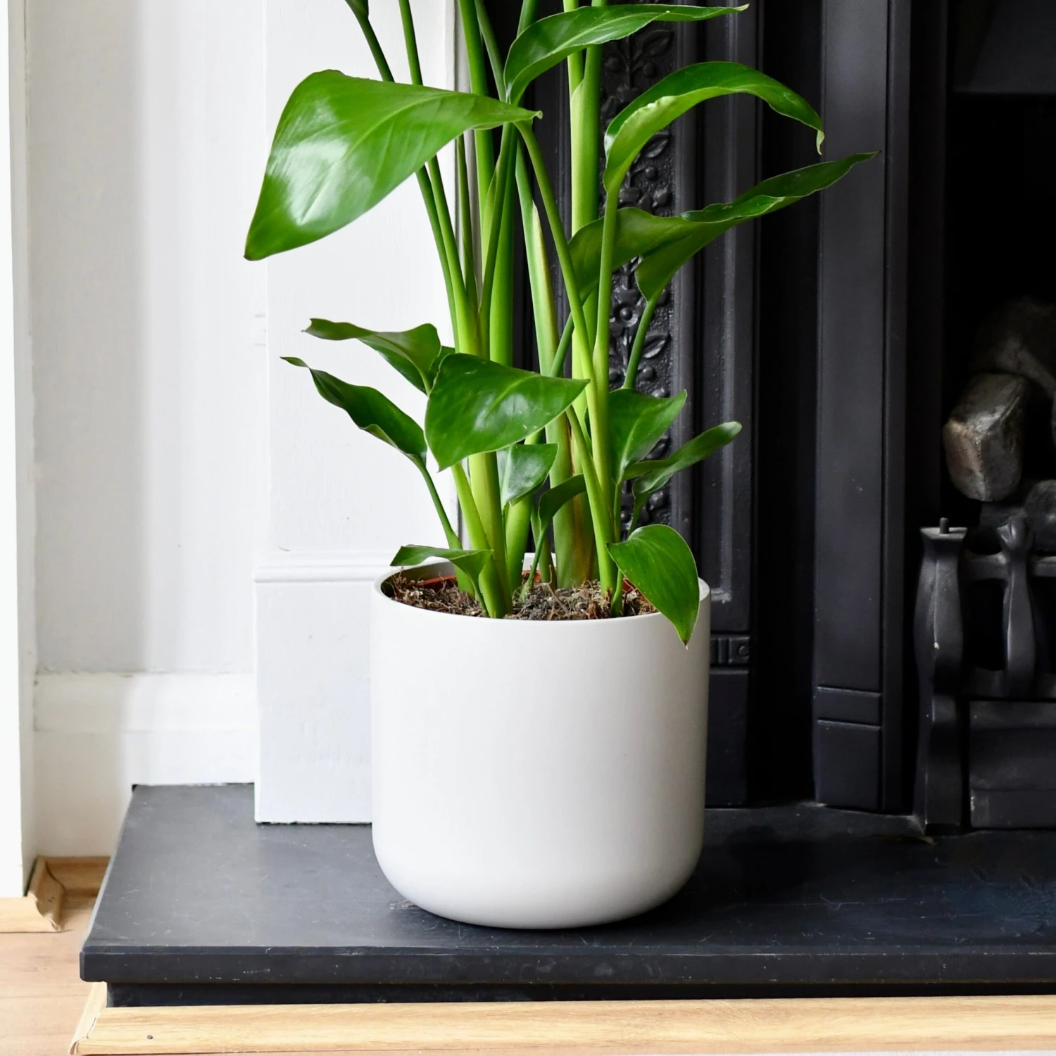 Lisbon Designer Planter Light Grey 13cm 3 Lisbon Designer Planter Light Grey 13cm - Image 3