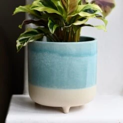 3 Leg Ceramic Reactive Glaze Indoor Plant Pot Mint Aqua (9cm Pot)