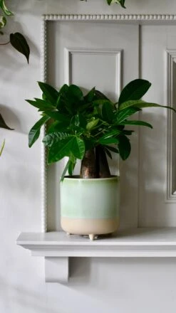3 Leg Ceramic Reactive Glaze Indoor Plant Pot Mint Green (9cm Pot) -Verdant Haven Sales Store DSC 2676