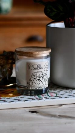 Calathea Makoyana (Also Known As Peacock Plant Or Cathedral Windows) & Lisbon Planter -Verdant Haven Sales Store DSC 2718