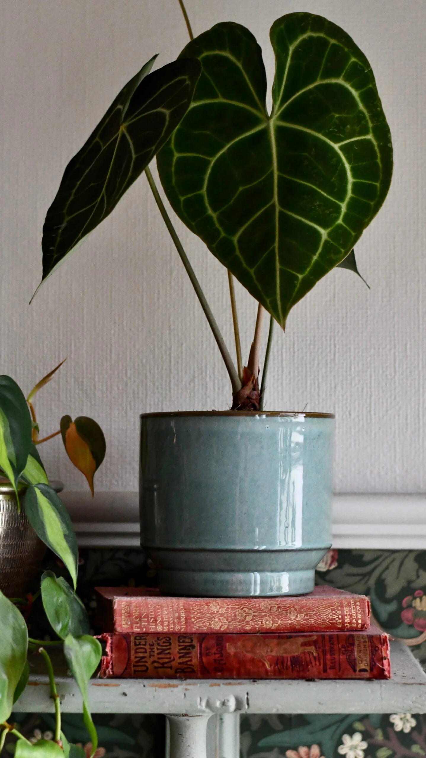 Aqua Premium Glaze Planter (14cm Indoor Plant Pot) 5 Aqua Premium Glaze Planter (14cm Indoor Plant Pot) - Image 5