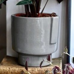 Aries Grey Premium Glaze Handle Planter (14cm Indoor Plant Pot) -Verdant Haven Sales Store DSC 2943