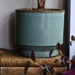 Aqua Premium Glaze Planter (14cm Indoor Plant Pot) 15 Aqua Premium Glaze Planter (14cm Indoor Plant Pot) -Verdant Haven Sales Store DSC 2948