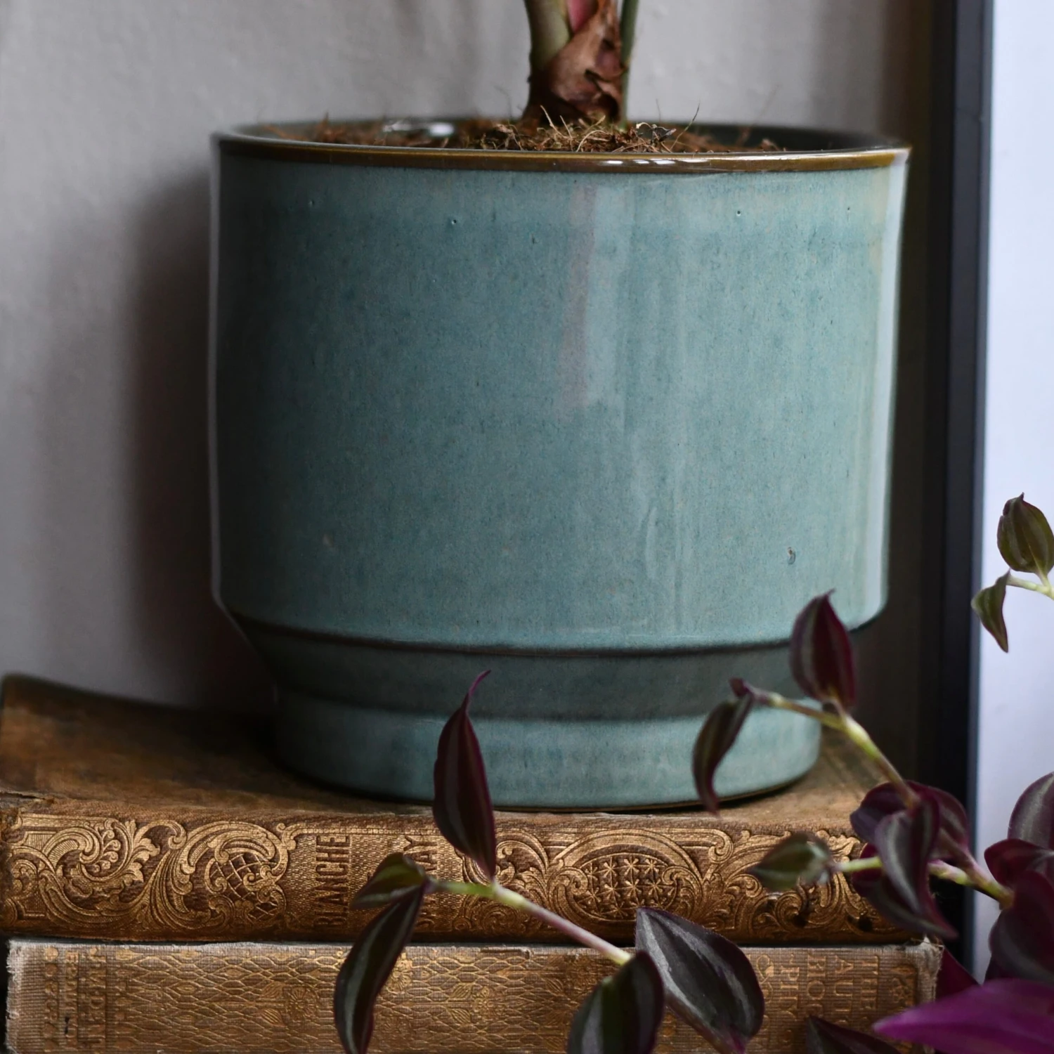 Aqua Premium Glaze Planter (14cm Indoor Plant Pot) 7 Aqua Premium Glaze Planter (14cm Indoor Plant Pot) - Image 7