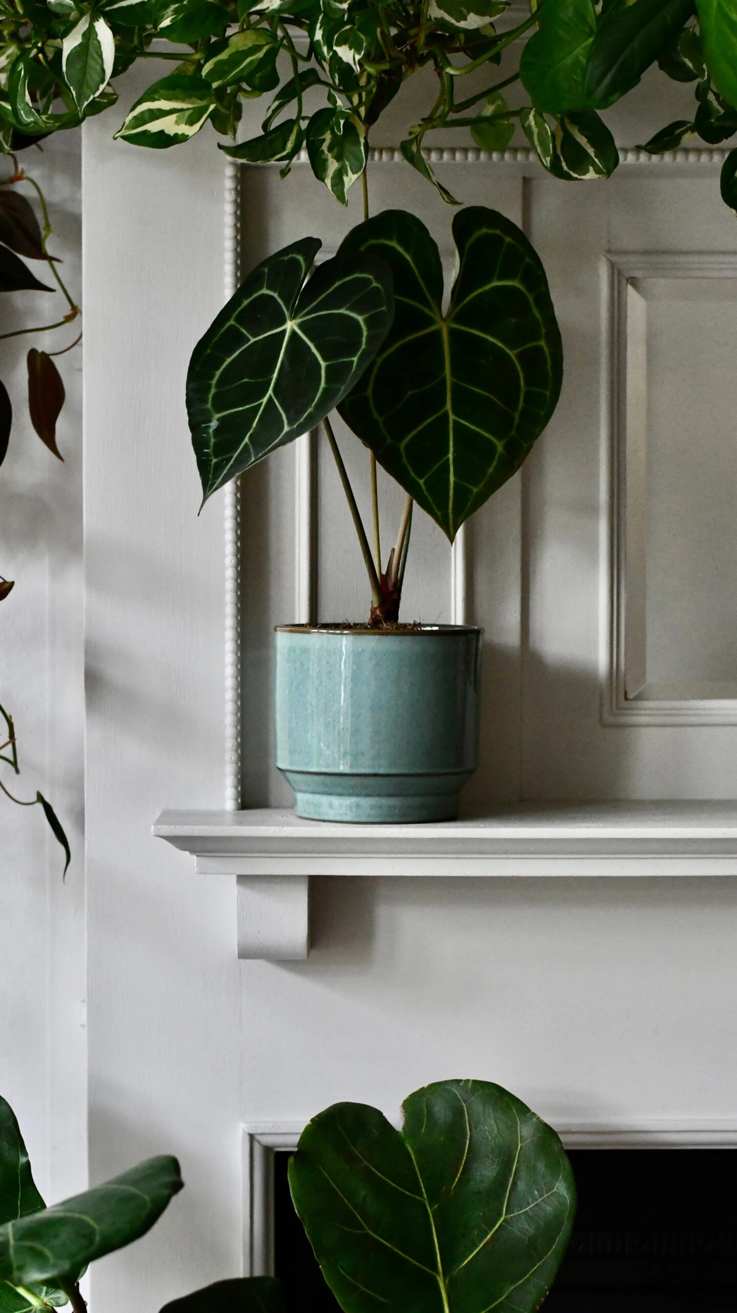 Aqua Premium Glaze Planter (14cm Indoor Plant Pot) 8 Aqua Premium Glaze Planter (14cm Indoor Plant Pot) - Image 8