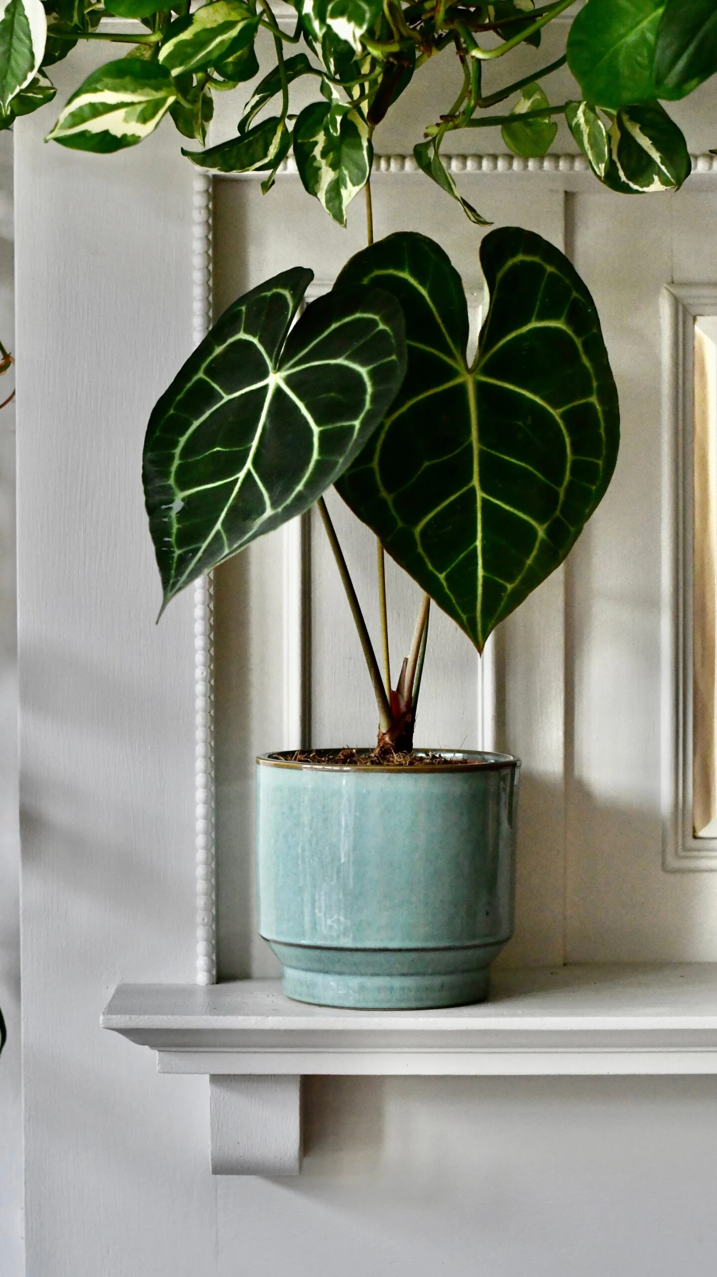 Aqua Premium Glaze Planter (14cm Indoor Plant Pot) 3 Aqua Premium Glaze Planter (14cm Indoor Plant Pot) - Image 3