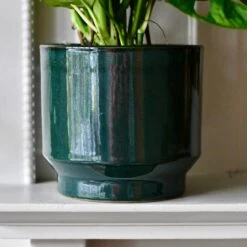 Forest Green Premium Glaze Planter (14cm Indoor Plant Pot) -Verdant Haven Sales Store DSC 2963