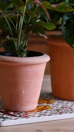 Terracotta Indoor Plant Pot 15cm -Verdant Haven Sales Store DSC 2992 88ab1821 43f5 461b a05c 9c5ed57ea832