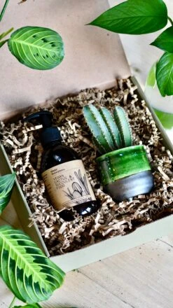Vegan Cactus & Succulent Food Gift Box -Verdant Haven Sales Store E807D685 4FE8 4B78 9327 BF9EA51D65AD 1 201 a
