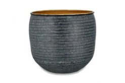 Ficus Microcarpa, Chinese Banyan & Tembesi Pot 11 Ficus Microcarpa, Chinese Banyan & Tembesi Pot -Verdant Haven Sales Store TP1603 WB dd7893dd 182f 42f6 93b7 70e3dce44619