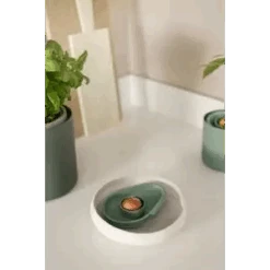 Amazing Avocado Floater Leaf Green (Grow An Avocado Tree!) 8 Amazing Avocado Floater Leaf Green (Grow An Avocado Tree!) -Verdant Haven Sales Store amazing avocado floater i3 jpg