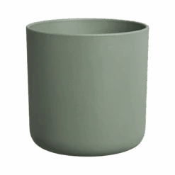 Amazing Avocado Pot Leaf Green (Grow An Avocado Tree!) -Verdant Haven Sales Store amazing avocado pot leaf green.u2