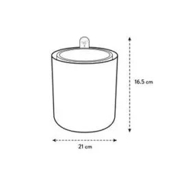 Bouncy Basil Grow Pot Leaf Green 17cm 10 Bouncy Basil Grow Pot Leaf Green 17cm -Verdant Haven Sales Store bouncy basil e1 jpg