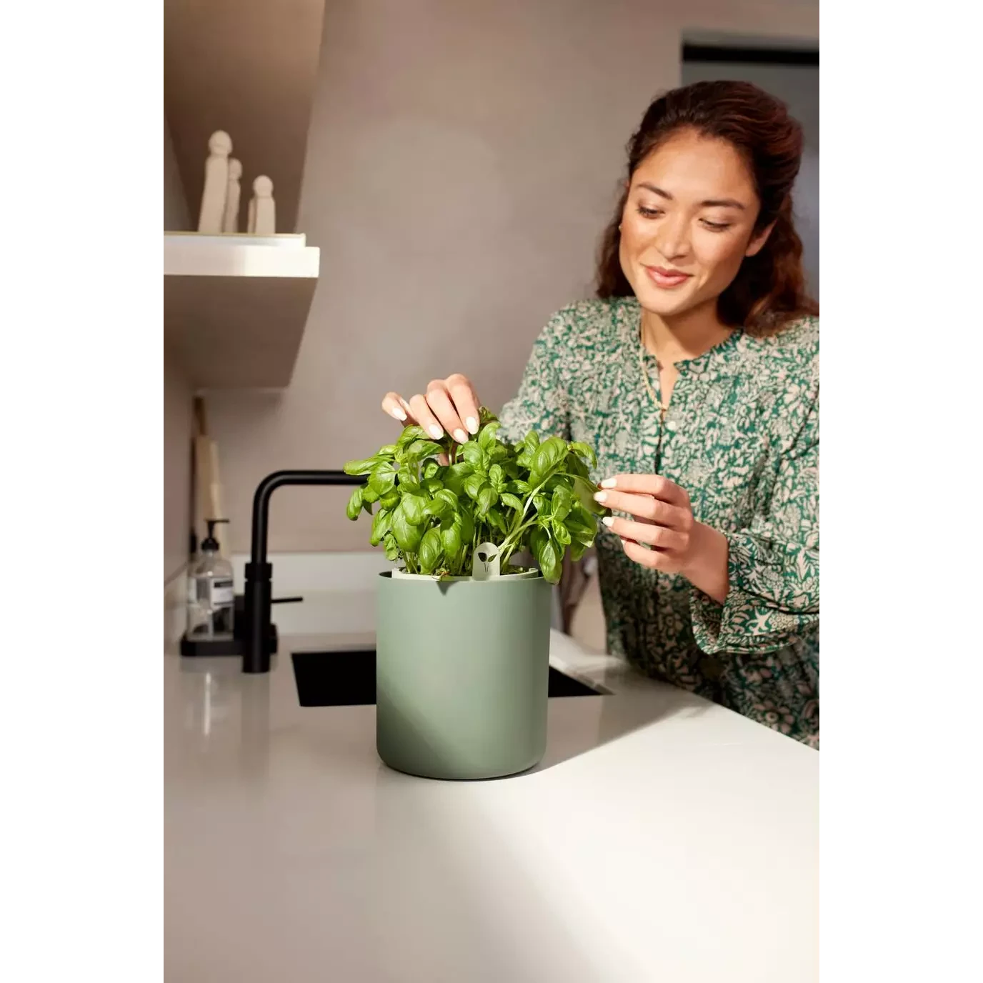 Bouncy Basil Grow Pot Leaf Green 17cm 2 Bouncy Basil Grow Pot Leaf Green 17cm - Image 2