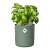 Bouncy Basil Grow Pot Leaf Green 17cm