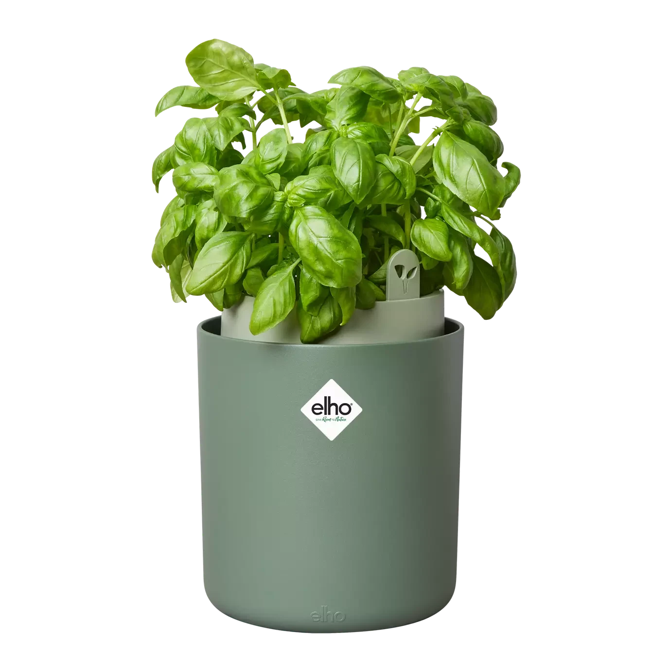 Bouncy Basil Grow Pot Leaf Green 17cm 1 Bouncy Basil Grow Pot Leaf Green 17cm