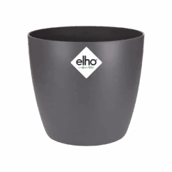 Echeveria Gifting Set -Verdant Haven Sales Store brussels round mini anthracite s1 png 713f63f3 737c 49c5 abc9 b9aea187dd77